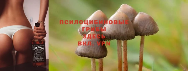 сатива Баксан