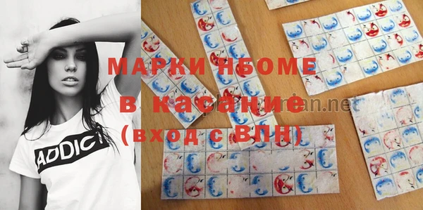сатива Баксан