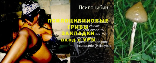 твердый Балахна