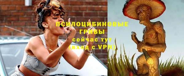 твердый Балахна